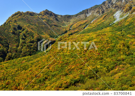 Tateyama Kurobe Alpine Route in Kinshu (Autumn leaves with a spectacular view of Tanbodaira (Kurobedaira & Daikanbo)) Tateyama Kurobe Alpine Route in Kinshu (Autumn leaves with a spectacular view of Tanbodaira (Kurobedaira & Daikanbo)) 83700841