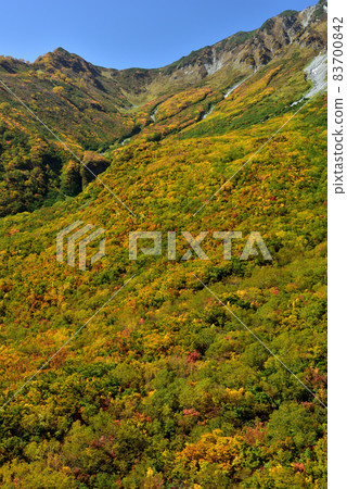 Tateyama Kurobe Alpine Route in Kinshu (Autumn leaves with a spectacular view of Tanbodaira (Kurobedaira & Daikanbo)) Tateyama Kurobe Alpine Route in Kinshu (Autumn leaves with a spectacular view of Tanbodaira (Kurobedaira & Daikanbo)) 83700842