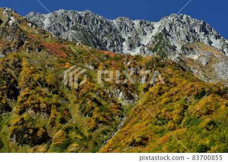 金州立山黑部阿爾卑斯山脈路線(可以欣賞到丹波平(Kurobedaira&Daikanbo)的壯麗景色的紅葉) 金州立山黑部阿爾卑斯山脈路線(可以欣賞到丹波平(Kurobedaira&Daikanbo)的壯麗景色的紅葉) 83700855