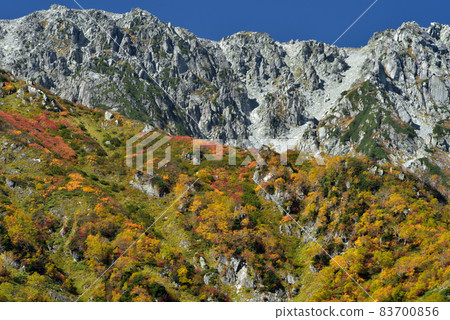 金州立山黑部阿爾卑斯山脈路線(可以欣賞到丹波平(Kurobedaira&Daikanbo)的壯麗景色的紅葉) 金州立山黑部阿爾卑斯山脈路線(可以欣賞到丹波平(Kurobedaira&Daikanbo)的壯麗景色的紅葉) 83700856