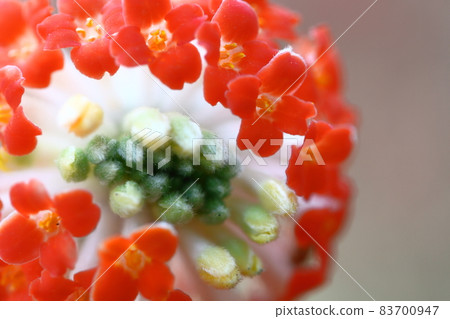 日本紙的材質 日本紙的材質 83700947