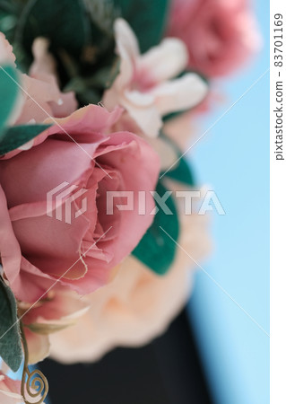rose rose 83701169