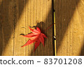 One red-dyed maple leaf 83701208