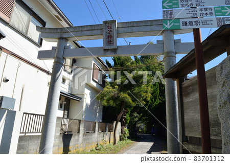 Kamakura Ebisu Shrine 83701312