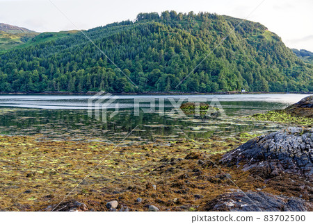 Loch Duich at sunset, Dornie, Western Highlands, Scotland Loch Duich at sunset, Dornie, Western Highlands, Scotland 83702500