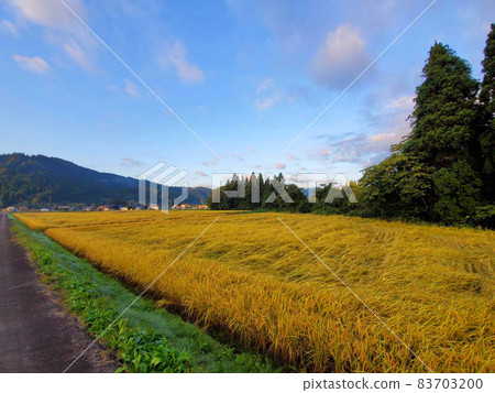 清晨的鄉村 清晨的鄉村 83703200