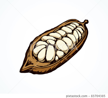 Cocoa Fruits. Vector drawing Cocoa Fruits. Vector drawing 83704385