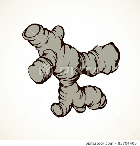 Ginger. Vector drawing Ginger. Vector drawing 83704406