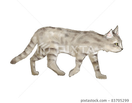 Walking african wildcat 83705299