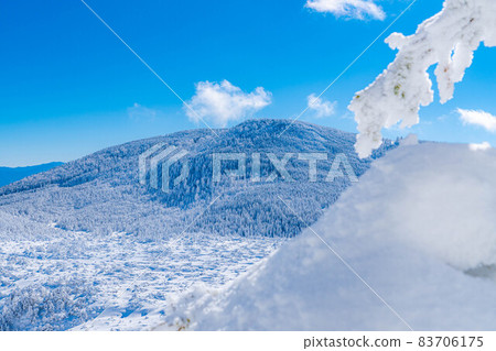 [Winter material] Rime and blue sky of Kitayokodake [Nagano Prefecture] 83706175