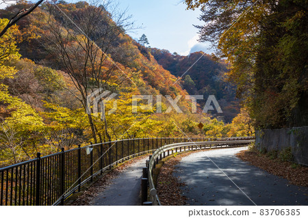 秋天去吾妻峽的山巴水壩散步 秋天去吾妻峽的山巴水壩散步 83706385