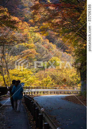 秋天去吾妻峽的山巴水壩散步 秋天去吾妻峽的山巴水壩散步 83706386