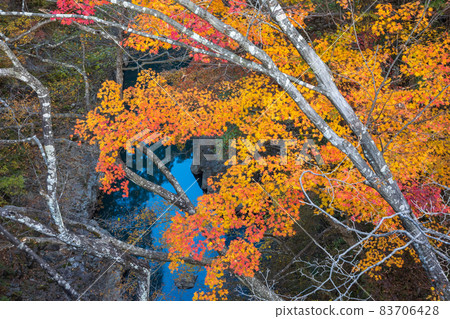 Autumn Agatsuma Gorge Agatsuma River Autumn Agatsuma Gorge Agatsuma River 83706428