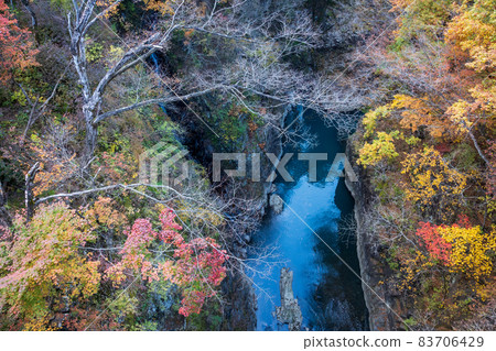 秋天的吾妻峽吾妻川 秋天的吾妻峽吾妻川 83706429