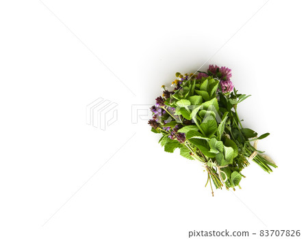 Freshly picked medical herbs hanging on white background Freshly picked medical herbs hanging on white background 83707826