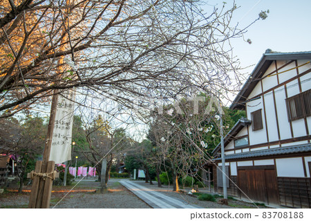 Menuma Seitenzan Kangiin Kumagaya near the entrance Autumn scenery Menuma Seitenzan Kangiin Kumagaya near the entrance Autumn scenery 83708188
