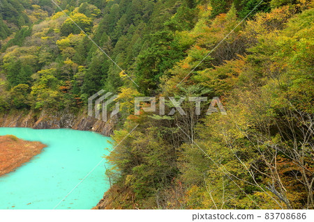 長野縣大町市Taira Takaseiri,綠松石河面和高瀨谷的秋葉 長野縣大町市Taira Takaseiri,綠松石河面和高瀨谷的秋葉 83708686