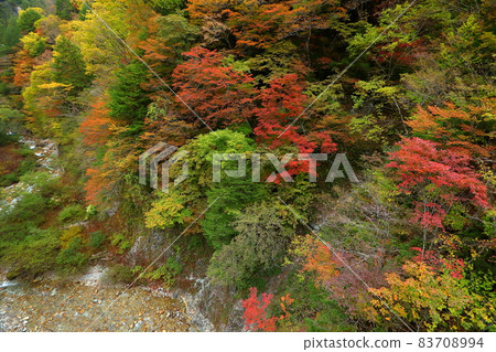 長野縣大町市平高瀨裡 高瀨谷北勝澤的秋葉 83708994