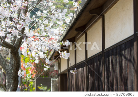 Old Japanese spring Old Japanese spring 83709003