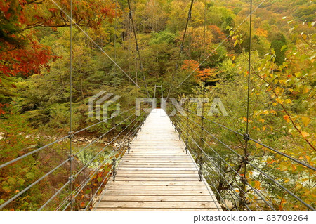 Hiratakaseiri, Omachi City, Nagano Prefecture Suspension bridge and autumn leaves over the Takase River under the Takase Valley Omachi Dam Hiratakaseiri, Omachi City, Nagano Prefecture Suspension bridge and autumn leaves over the Takase River under the Takase Valley Omachi Dam 83709264