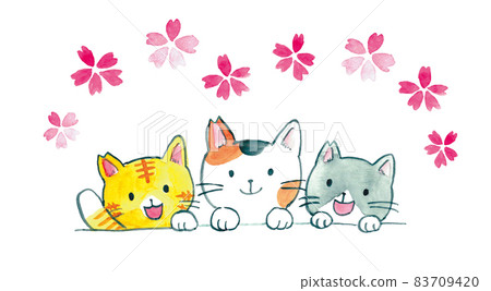 Watercolor illustration of three energetic cats Sakura cat Sakura background Watercolor illustration of three energetic cats Sakura cat Sakura background 83709420