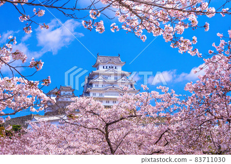 Spring Moment's Himeji Castle 83711030