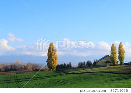 Biei in autumn 83711036
