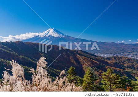 (山梨縣)林道蒲葦和富士山 (山梨縣)林道蒲葦和富士山 83711352