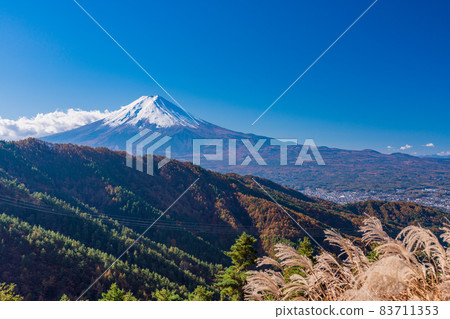 (山梨縣)林道蒲葦和富士山 (山梨縣)林道蒲葦和富士山 83711353