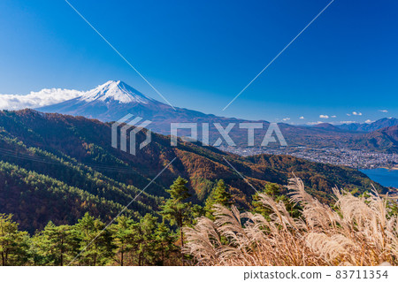 (山梨縣)林道蒲葦和富士山 (山梨縣)林道蒲葦和富士山 83711354