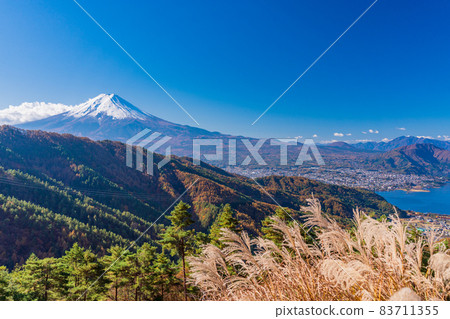 (山梨縣)林道蒲葦和富士山 (山梨縣)林道蒲葦和富士山 83711355