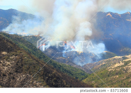 Hong Kong_wildfire 83711608