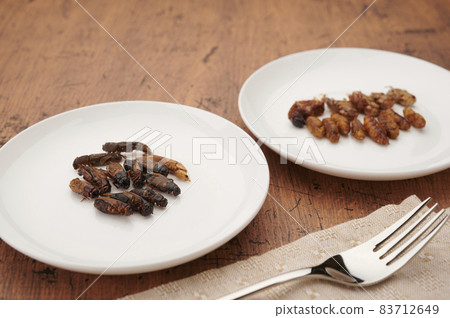 昆蟲食品 昆蟲食品 83712649