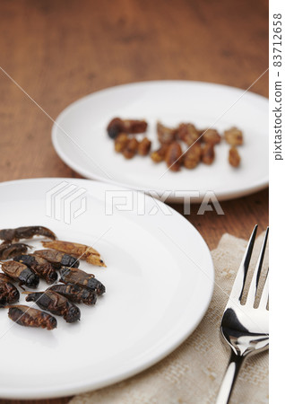 昆蟲食品 昆蟲食品 83712658