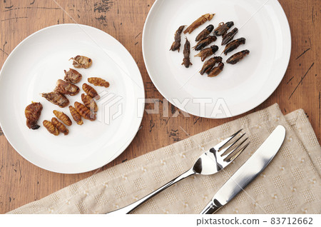 昆蟲食品 昆蟲食品 83712662