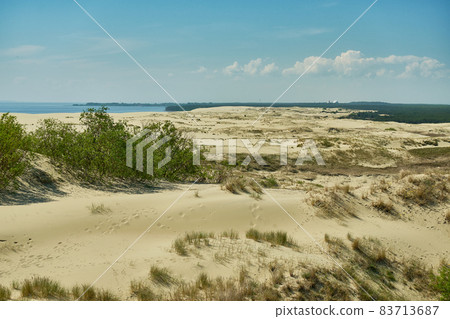 Sand dunes of the russian part Curonian Spit. Kaliningrad region, Russia Sand dunes of the russian part Curonian Spit. Kaliningrad region, Russia 83713687