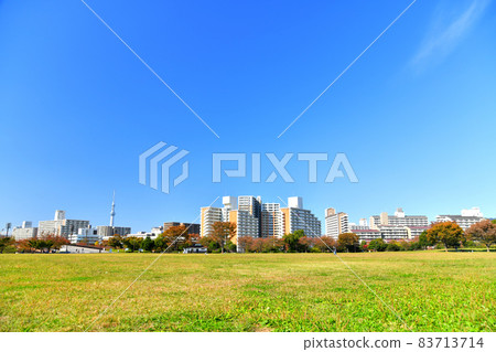 Oshima Komatsugawa Park Overlooking the Kyunaka River and Tokyo Sky Tree from the Freedom Square (Edogawa-ku, Tokyo) [2021.11] 83713714