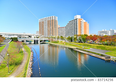 Oshima Komatsugawa Park Momiji Ohashi / Overlooking the Rainbow Ohashi area from the Kyunaka River (Edogawa-ku, Tokyo) [2021.11] 83714256