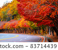 A street of autumn leaves dyed red 83714439