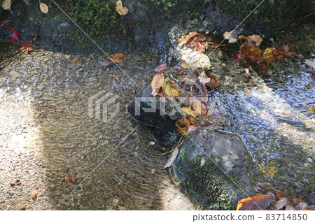 Autumn stream 83714850