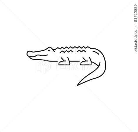 Wild crocodile, american alligator isolated thin line icon. Vector mississippiensis predator animal, symbol of Thailand, dangerous creature. Thai predator, scary carnivore crocodylus reptile 83715829