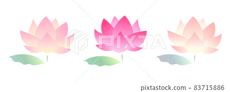蓮花和葉子的插圖集 83715886
