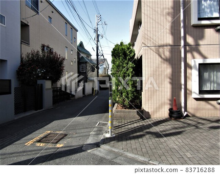 Near Ryunosuke Akutagawa's old house 83716288