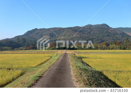 秋天的鹿野山(公津市) 秋天的鹿野山(公津市) 83716330