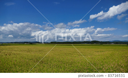 * Cloud Hitachiota City * Cloud Hitachiota City 83716531