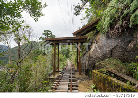 繩文雪松往返路線多莉路 83717519