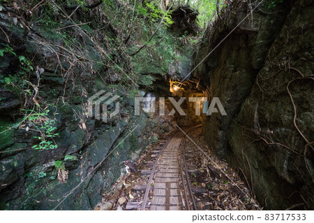 繩文雪松往返路線多莉路 83717533