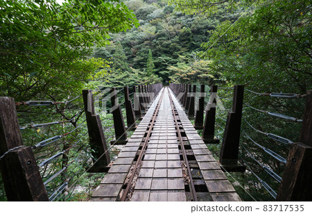 繩文雪松往返路線多莉路 83717535
