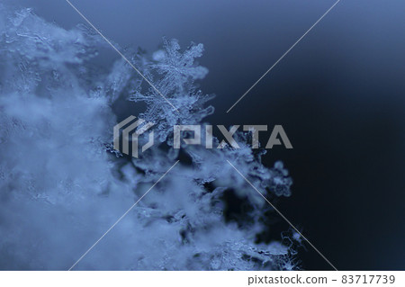 Macro shot of falling button snowflake 83717739