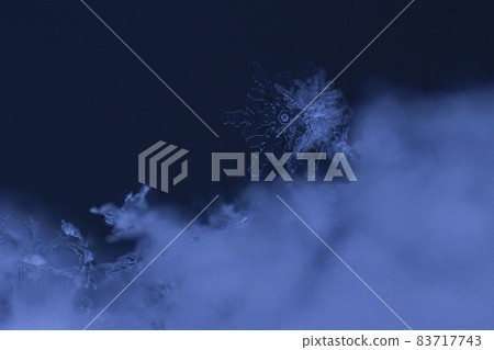 Macro shot of falling button snowflake 83717743